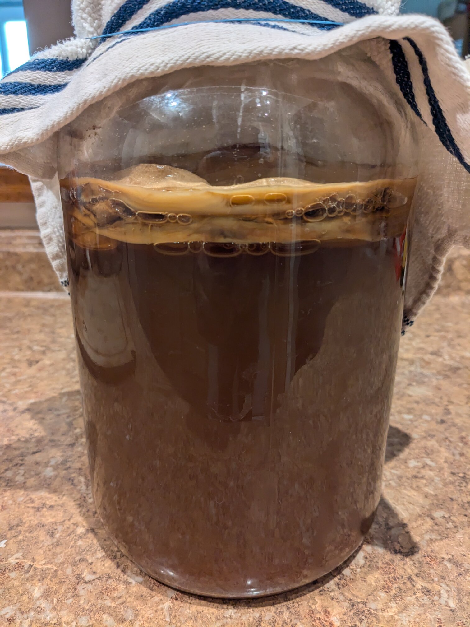 Fermented Kombucha